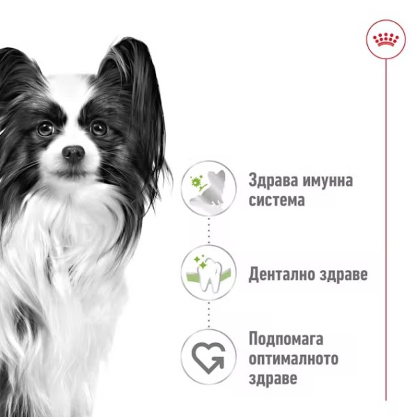 Royal Canin X-small Adult Pouch - Пълноценна мокра храна за кучета от миниатюрни породи над 10 месеца